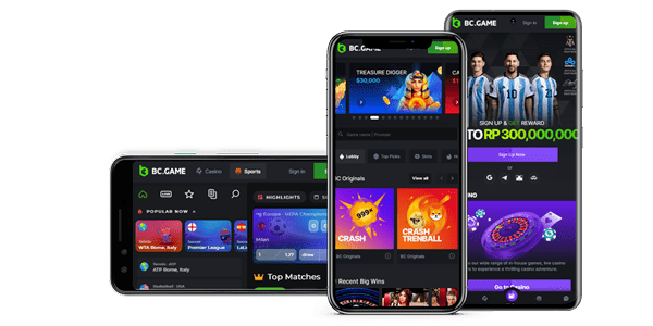 BC Game El Casino de Criptomonedas del Futuro BC Game El Casino de Criptomonedas del Futuro