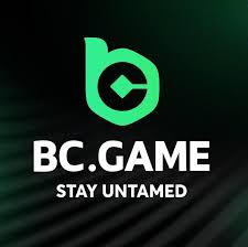 Discover the Exciting BC.Game App for Android -194064124 Discover the Exciting BC.Game App for Android -194064124