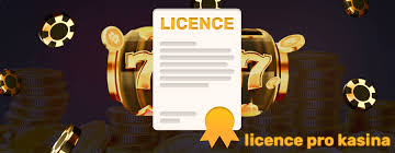 Mezinárodní kasina Jak vybrat to správné pro vás Mezinárodní kasina Jak vybrat to správné pro vás