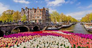 Culturele Activiteiten in Eindhoven Ontdek de Veelzijdigheid van de Stad Culturele Activiteiten in Eindhoven Ontdek de Veelzijdigheid van de Stad